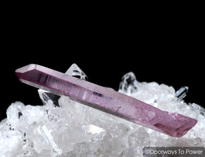 Rose Aura Lemurian Seed Quartz Pleiadian Starbrary Initiation Channeling Crystal