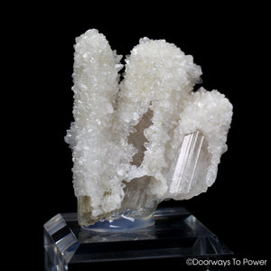 Danburite Twin Crystal Specimen & Synergy 12 Stone w/ Druzy Crystals