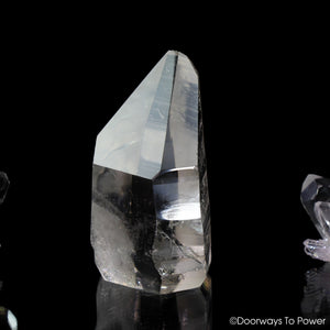 Lemurian Seed Pleiadian Starbrary Record Keeper Crystal 'Collectors Quality'