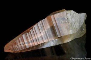 Tangerine Dream Lemurian Master Record Keeper Crystal Wand 'Densities & Doorways'