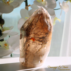 Elestial Smoky Citrine Quartz Crystal Point 'Portals of Ancient Knowledge'