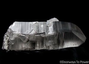 Smoky Black Phantom Lemurian Seed Quartz Inner Child Dolphin Crystal