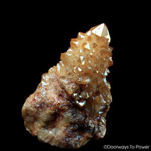 Tangerine Aura Imperial Gold Spirit Cactus Quartz Twin Record Keeper Abundance Crystal