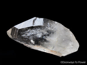Lemurian Light Quartz Record Keeper DT Crystal