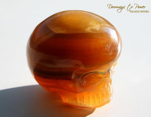 Crystal Skulls Leandro De Souza