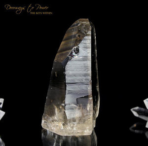Golden Lemurian Seed Quartz Record Keeper Crystal