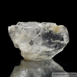 Petalite Crystal & Synergy 12 Stone