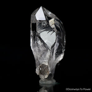Brookite Synergy 12 Stone Record Keeper Crystal