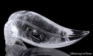 Leandro De Souza Crystal Skulls