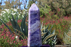 John of God Amethyst Casa Crystal & Temple Heart Dow 'Violet Defender' Massive 26 lbs 'Collectors Quality'