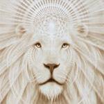 Lion's Heart Monatomic Andara Crystal