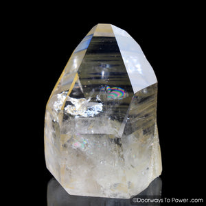 Golden Lemurian Seed Pleiadian Starbrary Record Keeper Crystal 'Connection'