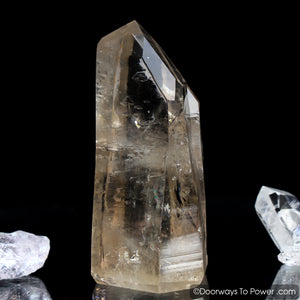 Golden Lemurian Seed Tantric Twin Record Keeper Crystal Point (RARE)