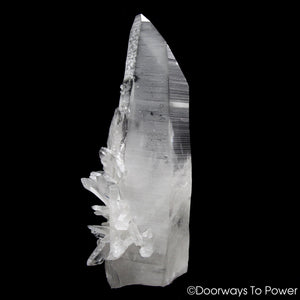 Lemurian Star Seed Quartz Crystal Record Keeper