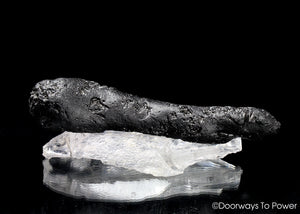 Tibetan Tektite Specimen 'Stone of shamaballa'  5" Rare & Big Synergy 12 Stone