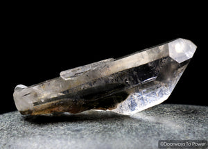 Brookite in Natural Quartz Record Keepers Dolphin Crystal Rare Synergy 12 Stone