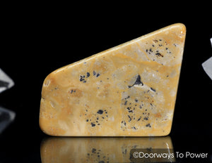 Lemurian Gold Azeztulite Quartz Crystal Tumbled & Polished