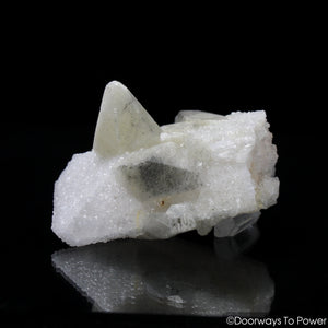 Danburite Crystal Specimen Pleiadian Starbrary Druzy Synergy 12 Stone