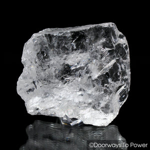 Satyaloka Azeztulite Crystal Synergy 12 Stone w/ Record Keeper + Pleiadian Starbrary