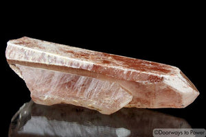 Scarlet Temple Rosetta Stone Cassiopeia Starbary Lightning Strike Lemurian Crystal