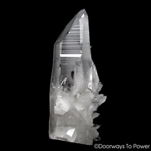 Lemurian Star Seed Quartz Crystal Record Keeper
