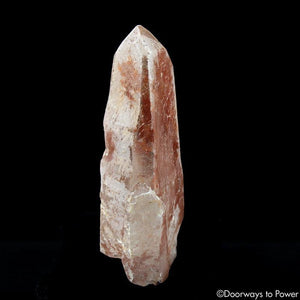 Scarlet Temple Rosetta Stone Cassiopeia Starbary Lightning Struck Lemurian Crystal