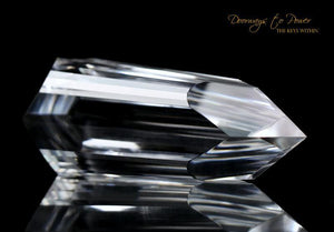 Ray Pinto Vogel Dream Wand