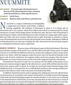 Nuummite Crystal Pendant