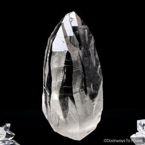 Himalayan Nirvana Cathedral Quartz Crystal Record Keeper