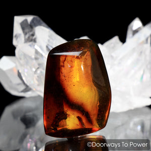 Amber "The Stone of Universal Manifestation"
