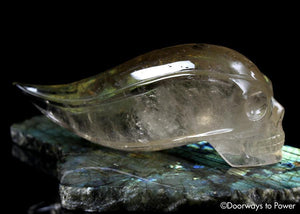 Golden Citrine Elestial Quartz 'Atomic' Traveler Crystal Skull