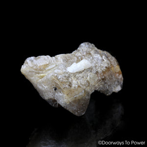 Golden Herderite Crystal Cluster Synergy 12 Stone