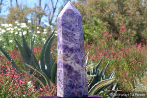 John of God Amethyst Casa Crystal & Temple Heart Dow 'Violet Defender' Massive 26 lbs 'Collectors Quality'