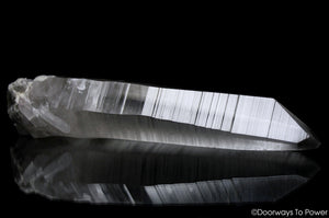 Black Phantom Lemurian Record Keeper Crystal Quartz Wand