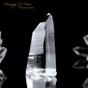 Colombian Lemurian Light Quartz Crystal 'Illuminate'