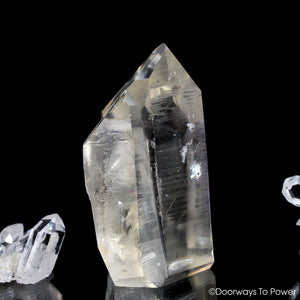 Lemurian Seed Pleiadian Starbrary Twin Record Keeper Crystal 'Museum Quality'