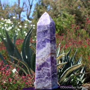 John of God Amethyst Casa Crystal & Temple Heart Dow 'Violet Defender' Massive 26 lbs 'Collectors Quality'