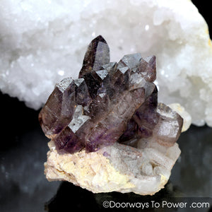 Melody Stone Super 7 Tantric Twin Record Keeper Crystal Cluster w/ Pleiadian Starbrary