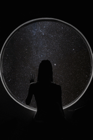 Seymchan Pallasite Meteorite 'Portal'