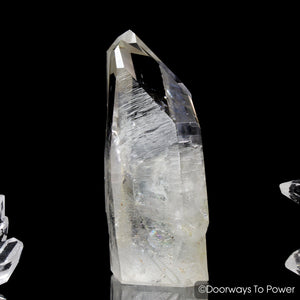 Lemurian Seed Quartz Record Keeper Crystal & Tantric Twin Starbrary