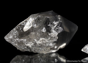 Smoky Black Phantom Lemurian Seed Quartz Inner Child Crystal 'The Protector'