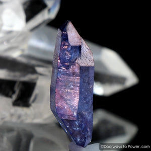 Tanzine Aura Himalayan Quartz Crystal w/ Record Keeper Tantric Twin