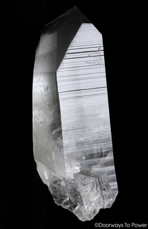 Black Phantom Lemurian Record Keeper Quartz DOW Crystal