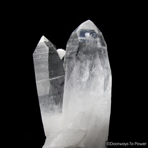 Starseed Lemurian