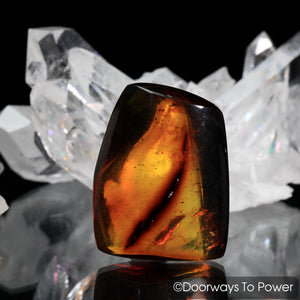 Amber "The Stone of Universal Manifestation"