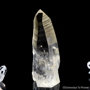 Golden Healer Lemurian Seed Pleiadian Starbrary Record Keeper Dolphin Crystal