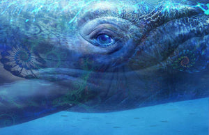 Electric Blue Atlantean Monatomic Andara Crystal