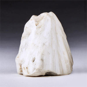 Scolecite Synergy 12 Stone Crystal