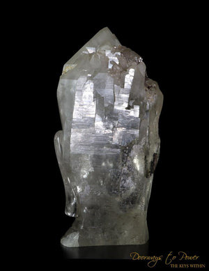 Citrine Quartz Lightbrary Buddha Head Crystal Sculpture