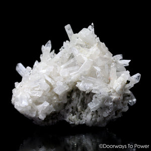 Danburite Quartz Crystals Cluster Pyrite 'Rays of Light' Tantric Twin Synergy 12 Stones